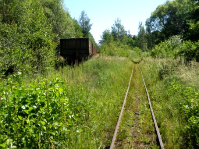 Peat mining railway