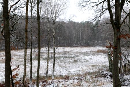 Pechsee with snow 2021-01-03 07