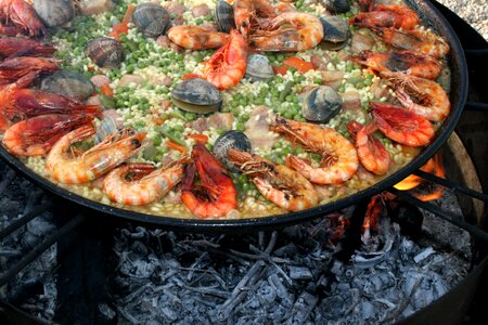 Prawns shrimp lena