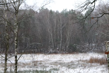 Pechsee with snow 2021-01-03 03