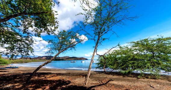 Paradise (260447177)