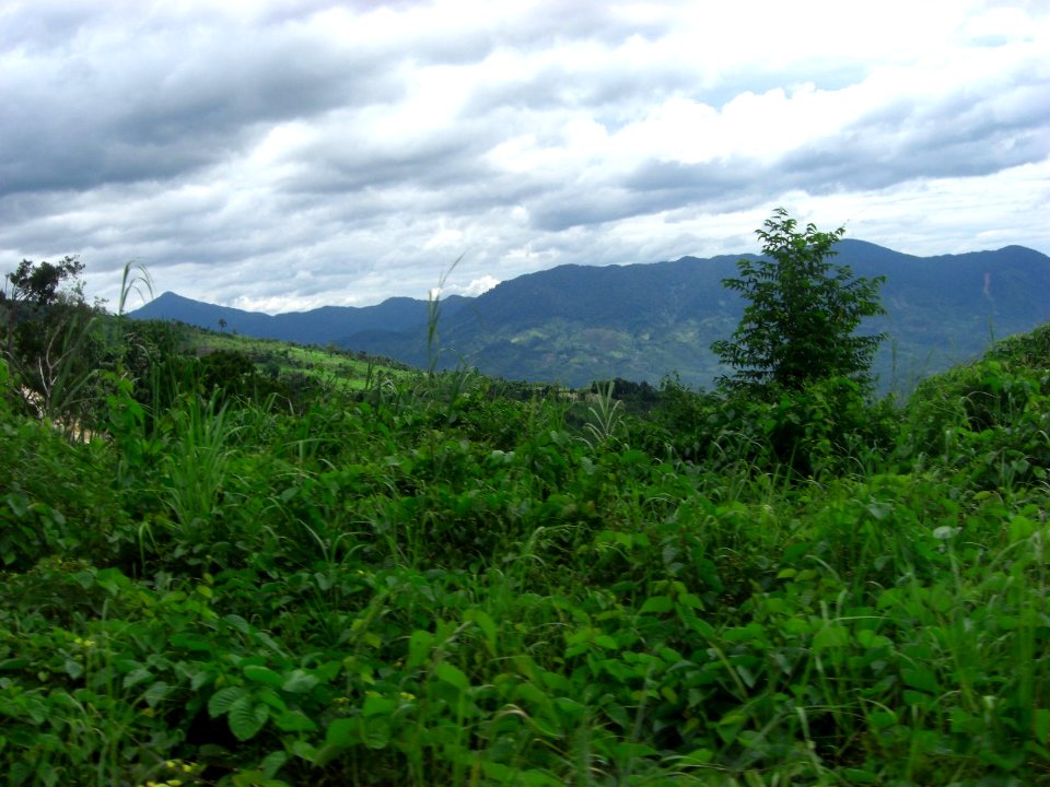 Paysage du nord du Vietnam
