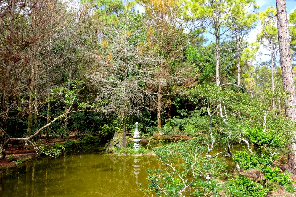 Paradise Garden - Morikami Museum and Japanese Gardens - Palm Beach County, Florida - DSC03366