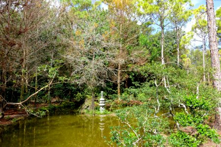 Paradise Garden - Morikami Museum and Japanese Gardens - Palm Beach County, Florida - DSC03366