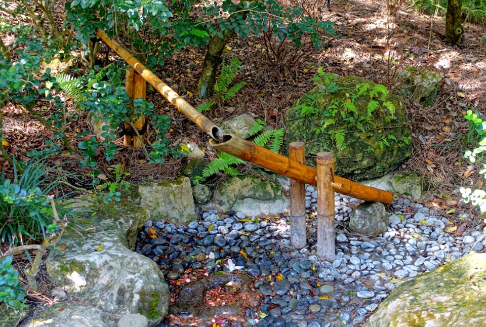 Paradise Garden - Morikami Museum and Japanese Gardens - Palm Beach County, Florida - DSC03368