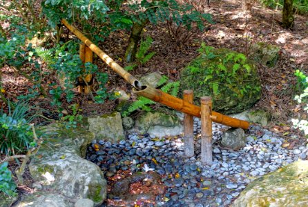 Paradise Garden - Morikami Museum and Japanese Gardens - Palm Beach County, Florida - DSC03368