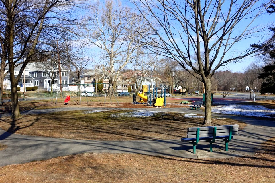 Parallel Park - Arlington, MA - DSC08716