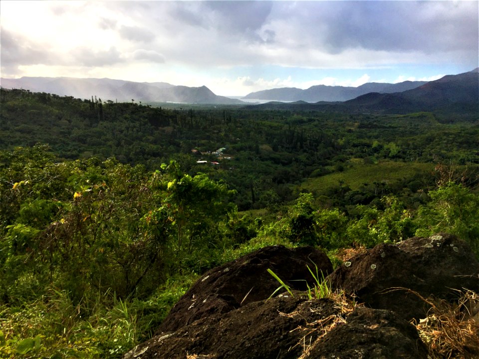 Paysage de Canala