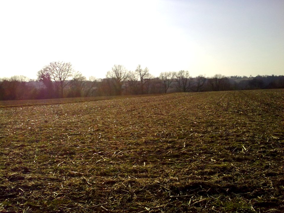 Paysage depuis la hagède