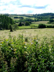 Paysage à Meulot (Saint-André-en-Morvan, Nièvre, Fr)