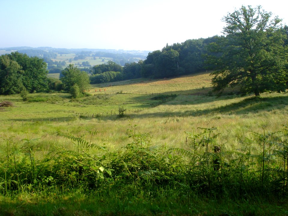 Paysage aux environs de Chamborand (Creuse, Fr)