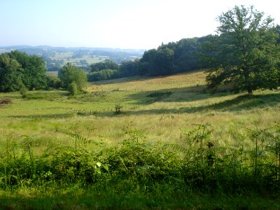 Paysage aux environs de Chamborand (Creuse, Fr)