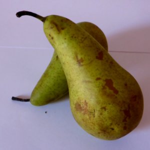 Pears-2