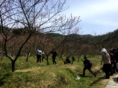 Peace Valley of Mount Dongwu in Huitang Town of Ningxiang County, Hunan, picture9