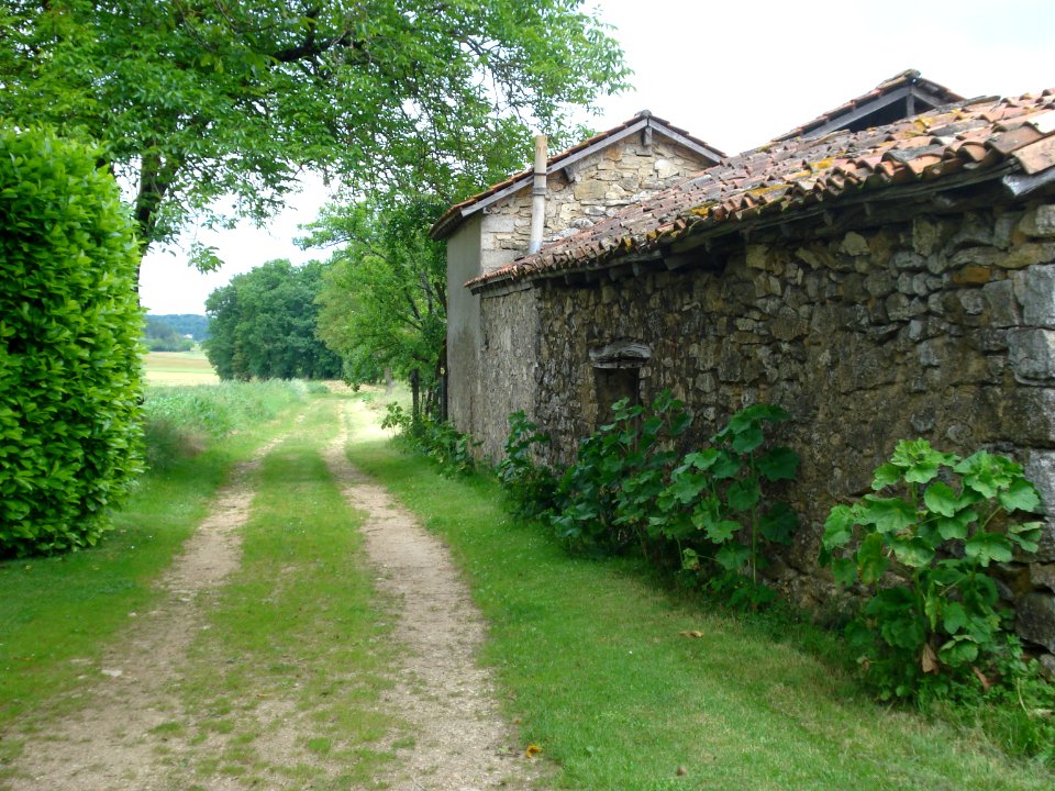 Paysage aux environs de Sorges (Dordogne, Fr)