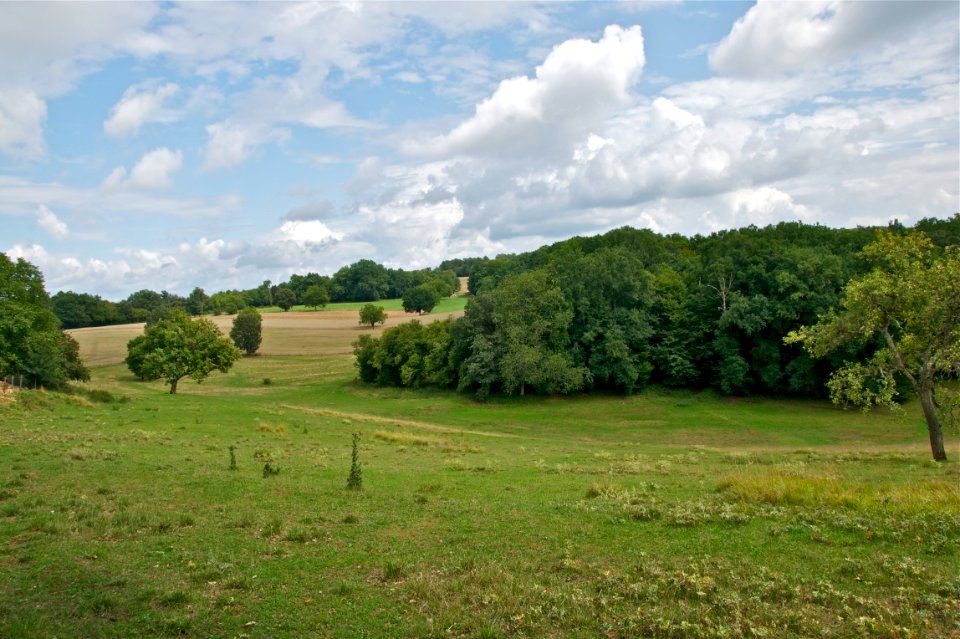 Paysage Dordogne Rouffignac