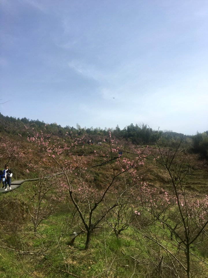 Peace Valley of Mount Dongwu in Huitang Town of Ningxiang County, Hunan, picture13