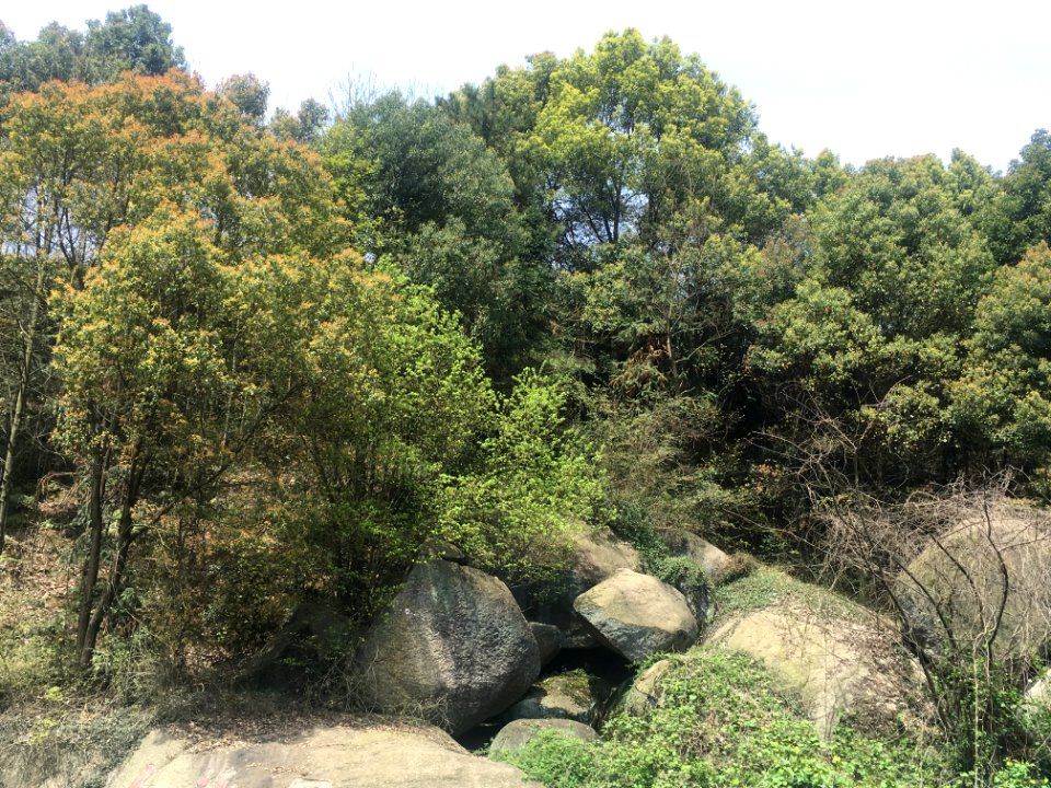 Peace Valley of Mount Dongwu in Huitang Town of Ningxiang County, Hunan, picture8