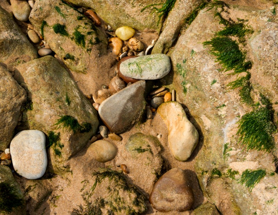 Pebbles sand low tide beach Sainte-Marie-de-Ré Charente-Maritime France