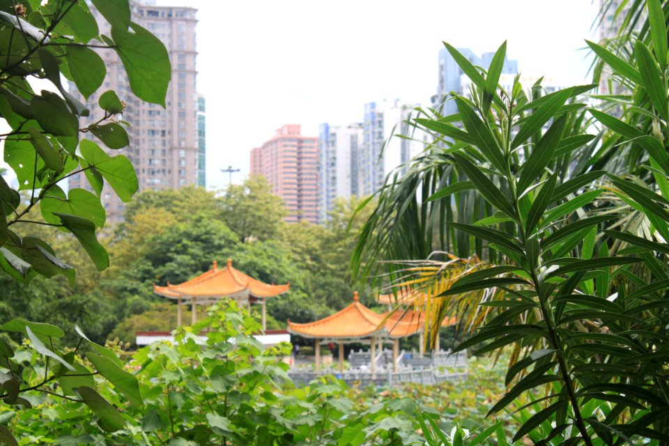Pavilions at Honghu Park2