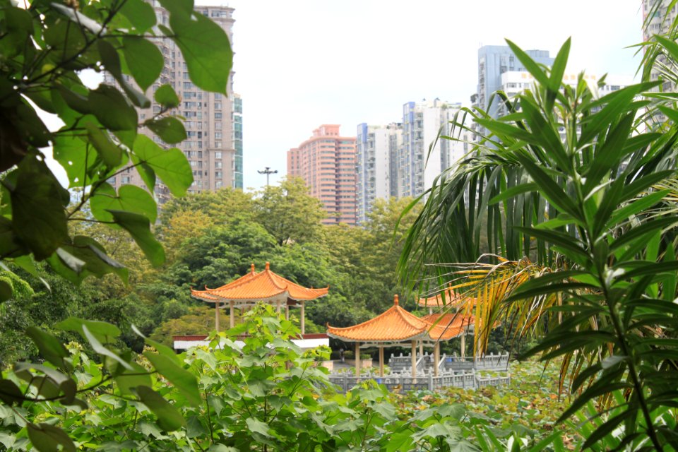 Pavilions at Honghu Park1