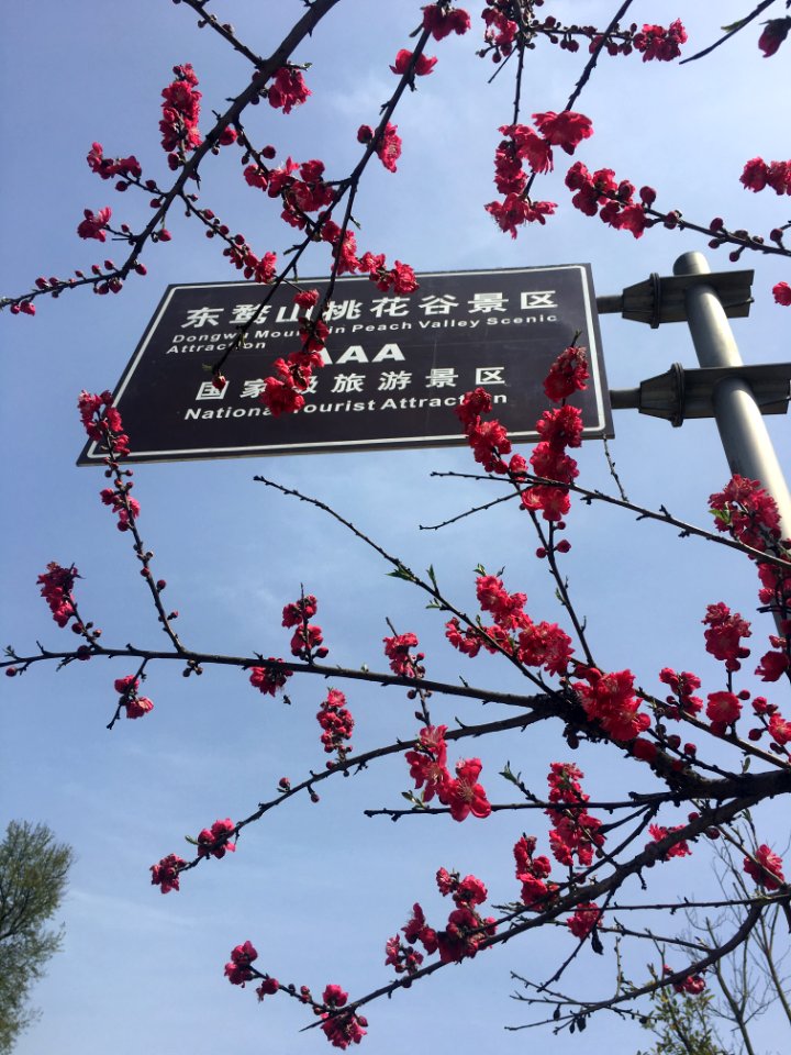 Peace Valley of Mount Dongwu in Huitang Town of Ningxiang County, Hunan, picture32