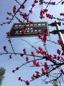 Peace Valley of Mount Dongwu in Huitang Town of Ningxiang County, Hunan, picture32
