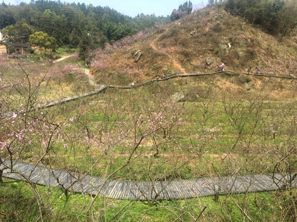 Peace Valley of Mount Dongwu in Huitang Town of Ningxiang County, Hunan, picture21