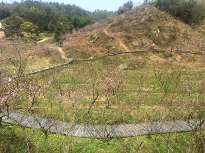 Peace Valley of Mount Dongwu in Huitang Town of Ningxiang County, Hunan, picture21
