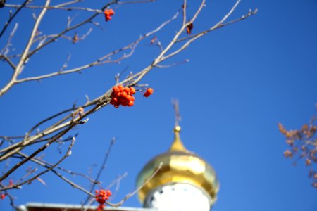 Pechory3