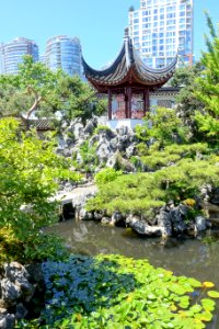 Pavilion with pond - Dr. Sun Yat-Sen Classical Chinese Garden - Vancouver, Canada - DSC09895