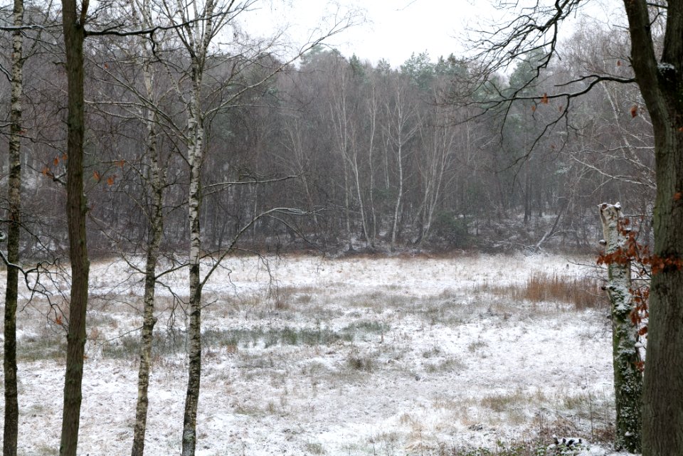 Pechsee with snow 2021-01-03 05