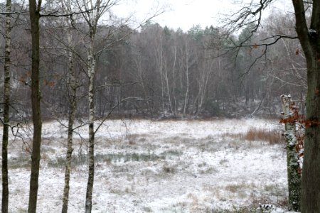 Pechsee with snow 2021-01-03 05