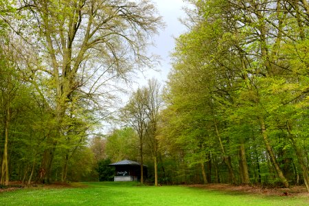 Pavilion - Bois de la Cambre or Ter Kamerenbos - Brussels, Belgium - DSC06619