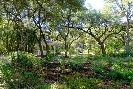 Pavilion - Zilker Botanical Garden - Austin, Texas - DSC09027