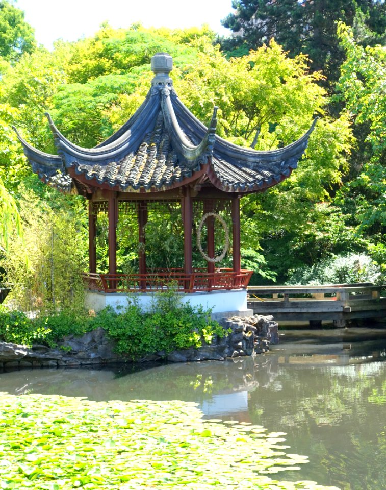 Pavilion and pond - Dr. Sun Yat-Sen Park - Vancouver, Canada - DSC09792