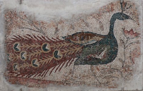 Peacock and Flower, c. 400 CE, Roman Syria, mosaic, Kimbell Art Museum