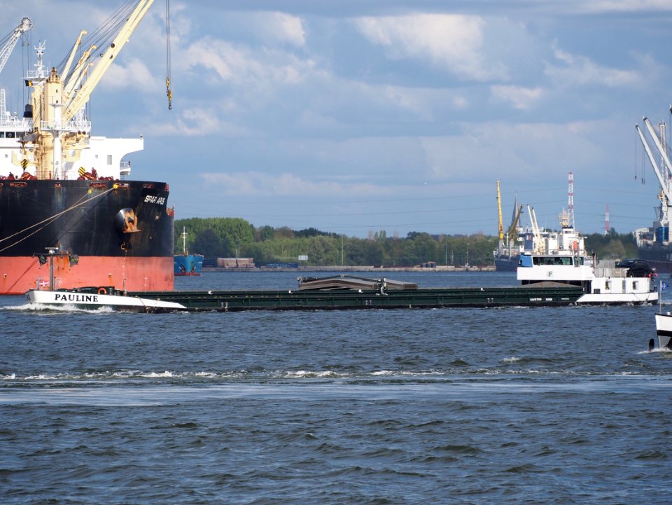 Pauline (ship, 1971) ENI 02319078 Port of Antwerp