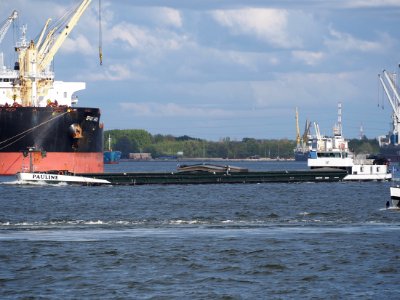 Pauline (ship, 1971) ENI 02319078 Port of Antwerp