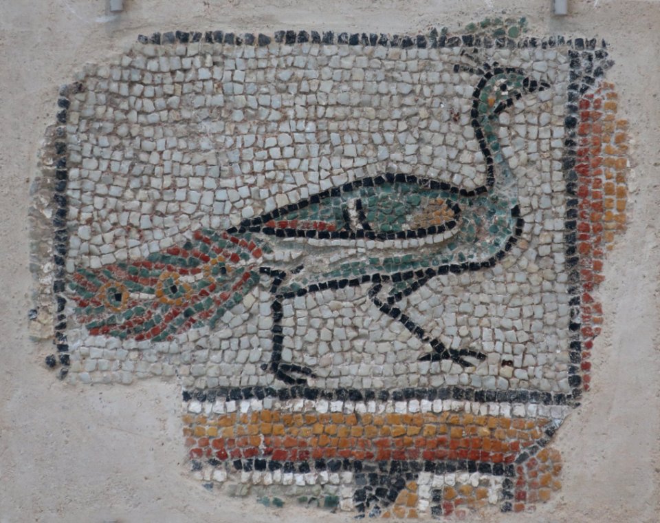 Peacock, c. 400 CE, Roman Syria, mosaic, Kimbell Art Museum