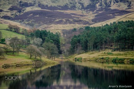 Peak District Beauty (199409149)