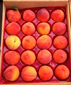 Peaches - Farmer's Market at the Ferry Building - San Francisco, CA - DSC03560