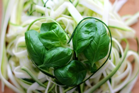 Green kitchen cook