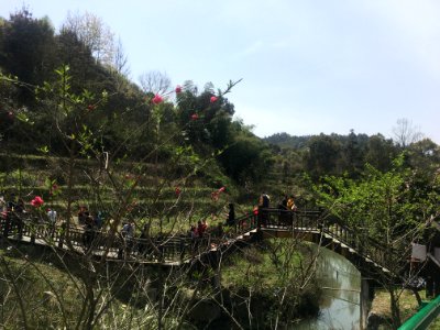 Peace Valley of Mount Dongwu in Huitang Town of Ningxiang County, Hunan, picture6
