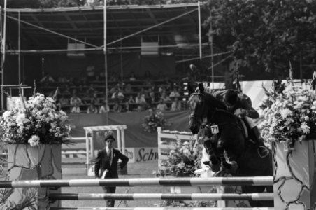 Paul Schockemuhle met Deister in actie, Bestanddeelnr 930-4033