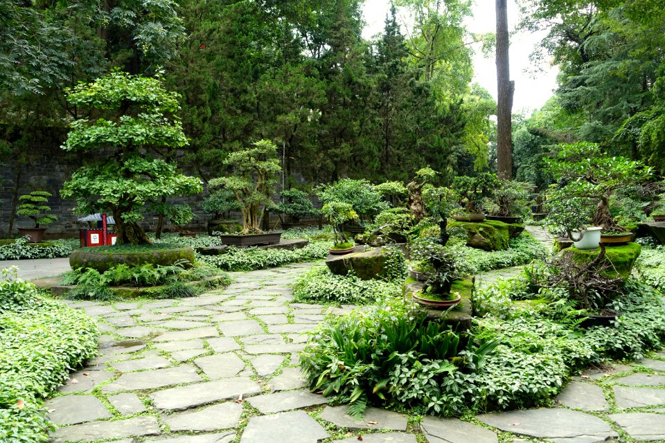 Penjing garden - Wuhou Shrine - Chengdu, China - DSC05432