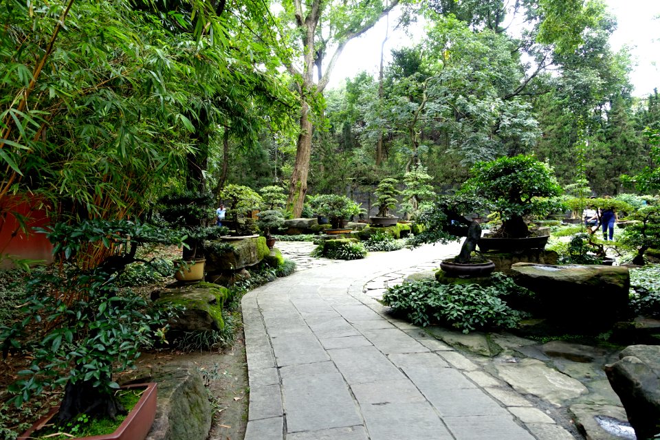 Penjing garden - Wuhou Shrine - Chengdu, China - DSC05425