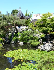 Pavilion with pond - Dr. Sun Yat-Sen Classical Chinese Garden - Vancouver, Canada - DSC09808