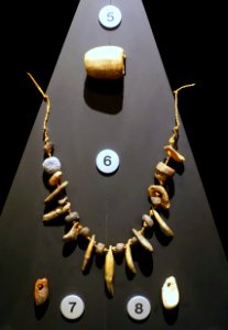 Pendants, Aurignacian culture, 31000-24000 BC, various materials - Cinquantenaire Museum - Brussels, Belgium - DSC08704