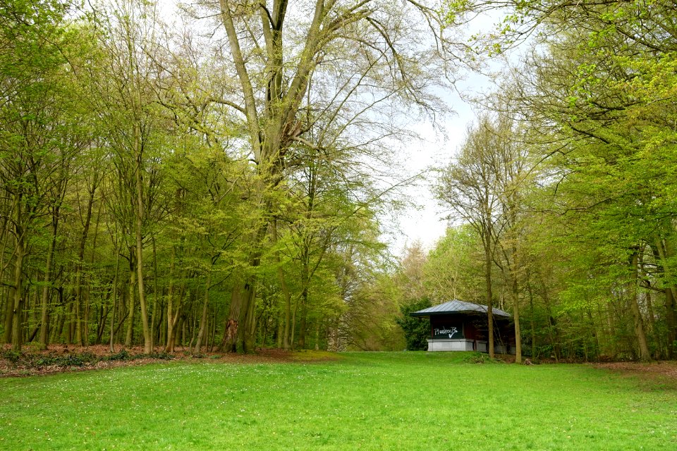 Pavilion - Bois de la Cambre or Ter Kamerenbos - Brussels, Belgium - DSC06617